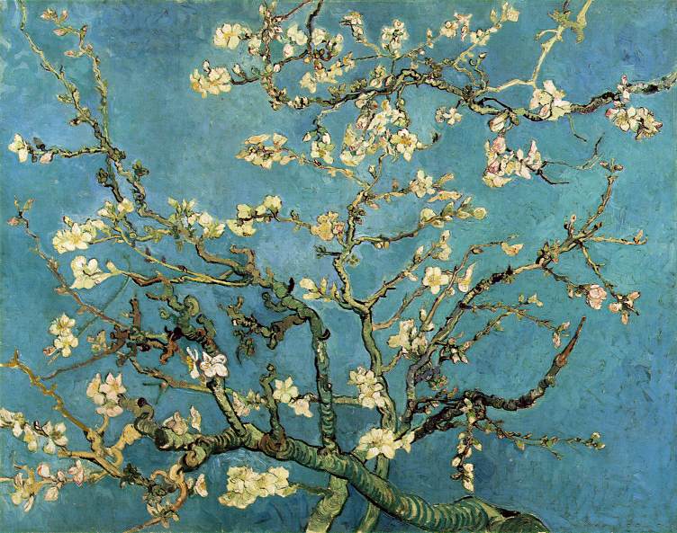 badem dallar  / van gogh 